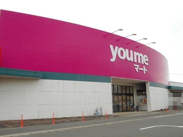 ゆめマート城山店：3000m