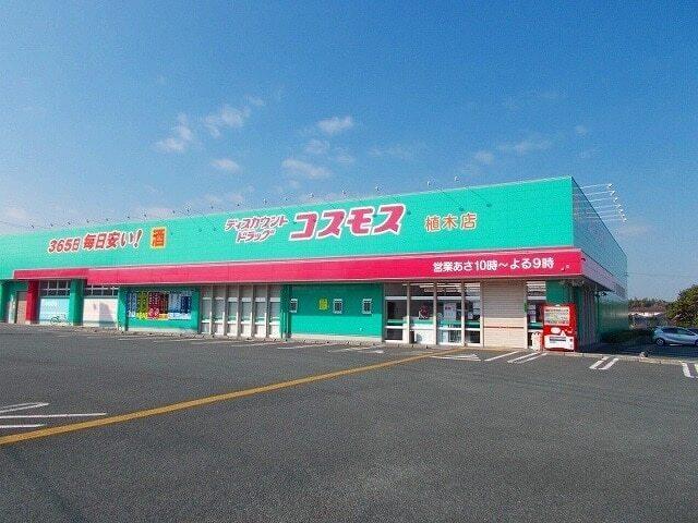 ドラッグストアコスモス：900m
