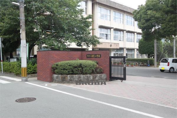 熊本市立若葉小学校：262m