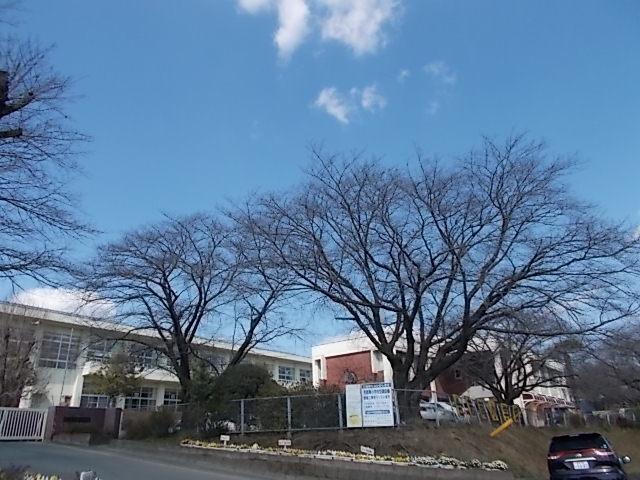 南ヶ丘小学校：200m