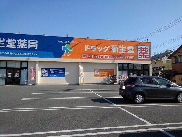 ドラッグ新生堂尾ノ上店：300m