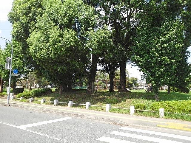 秋津中央公園：200m