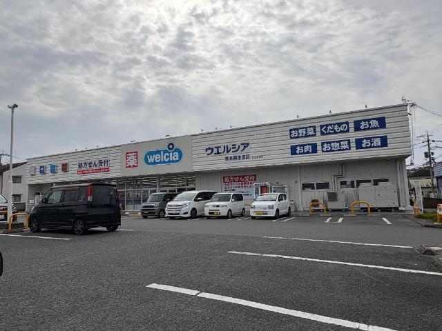 ウエルシア熊本麻生田店：528m