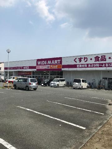 ワイドマートドラッグ＆フード麻生田店：3000m