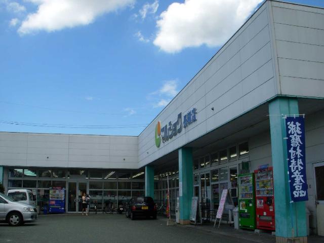 マルショク長嶺：570m