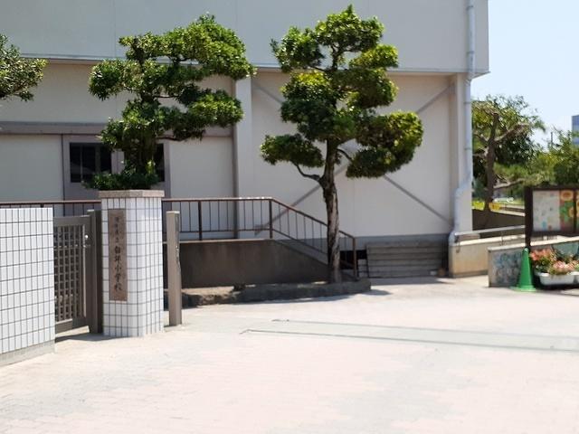 白坪小学校：130m