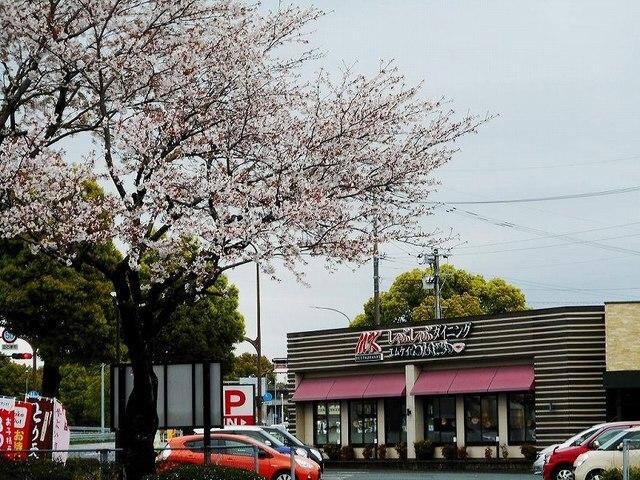ＭＫレストラン桜木店：200m