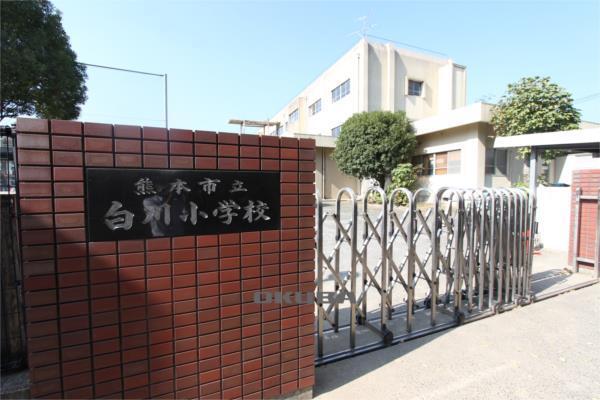 熊本市立碩台幼稚園：499m