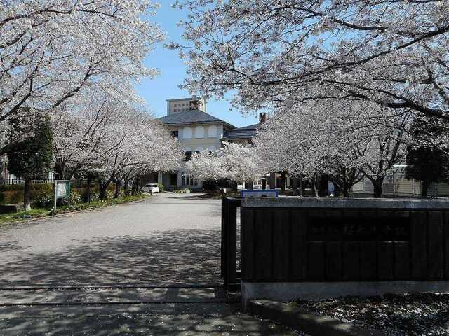 桜木中学校：240m