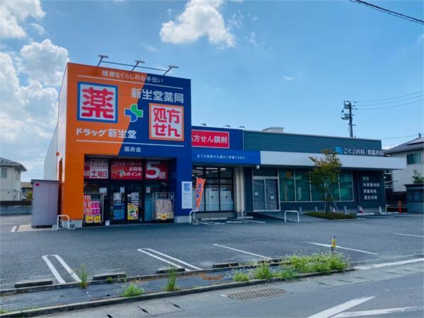 ドラッグ新生堂 国府店：674m