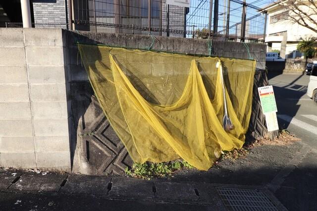 セジュールソシア　B棟（103） 物件画像