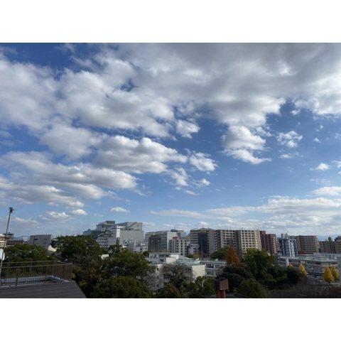 ArtizA熊本新町（501） 眺望