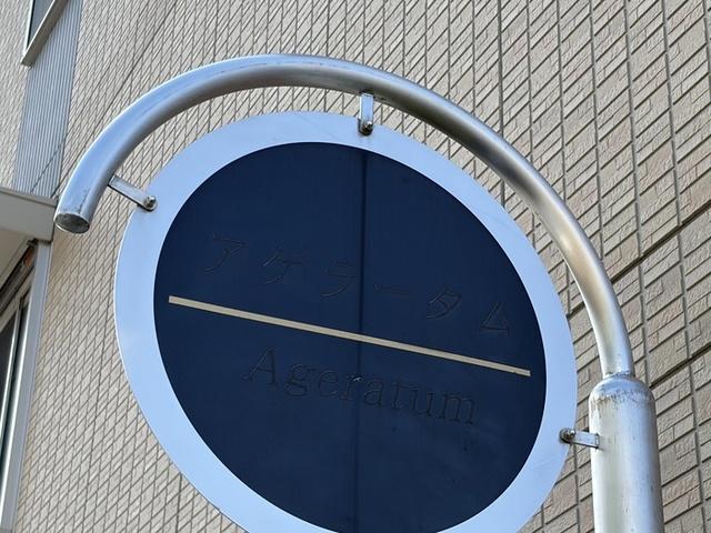 アゲラータム（202） 物件画像