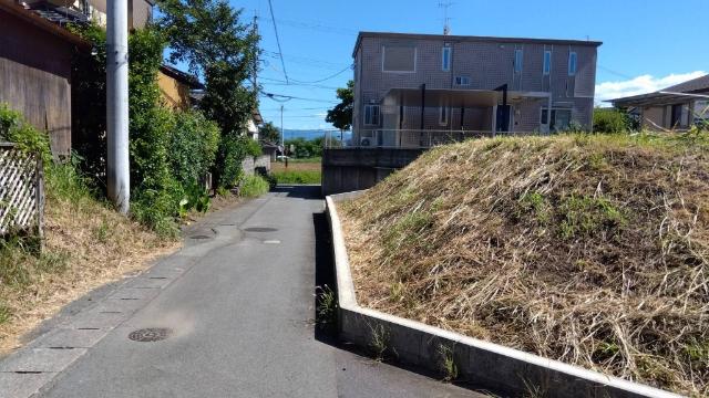 1号地