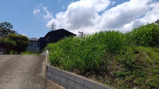 1号地