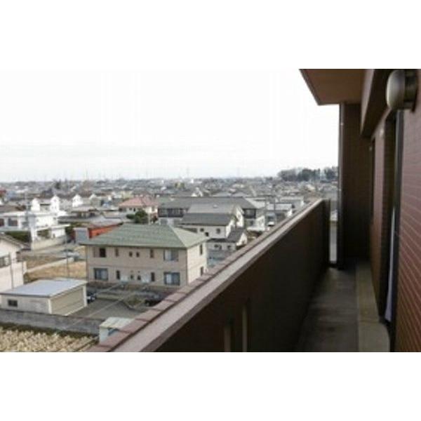 マンションドーチェスター（401） 眺望