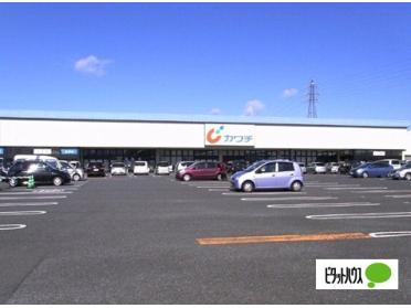 カワチ薬品伊勢崎西店：729m