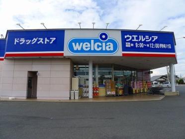 ウエルシア伊勢崎八寸店：1100m