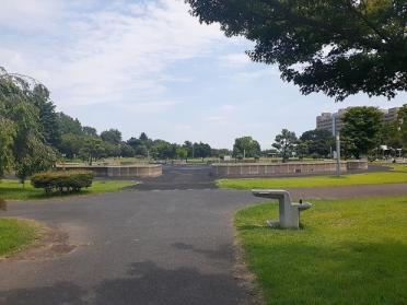 伊勢崎西部公園：1100m