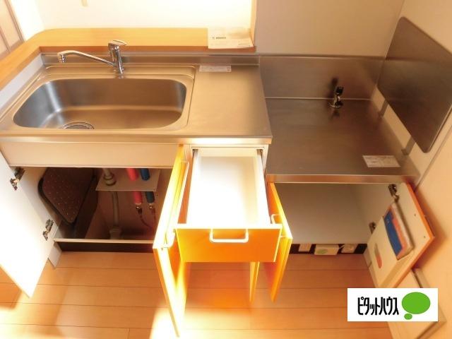 ファミール・ドミ・ＫＡＭＩＤＡ（B101） キッチン