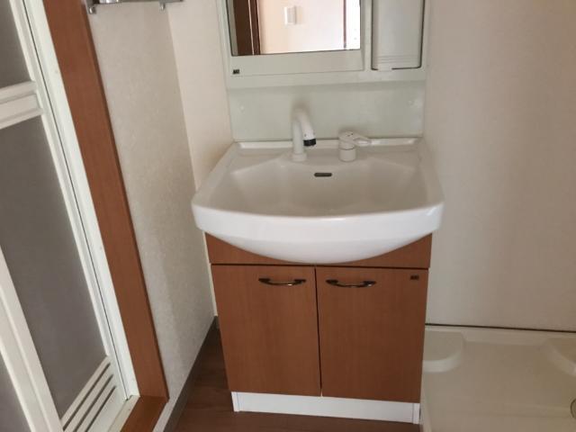 サンセベリア 部屋画像