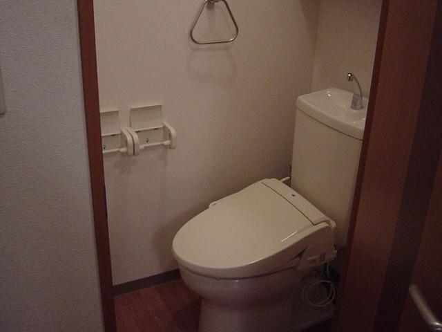 サンセベリア 部屋画像