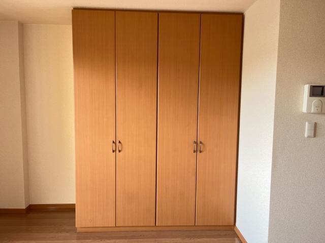 サンセベリア 部屋画像