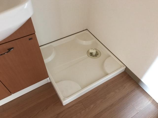 サンセベリア 部屋画像