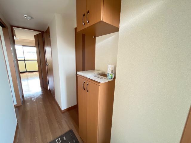 サンセベリア 部屋画像
