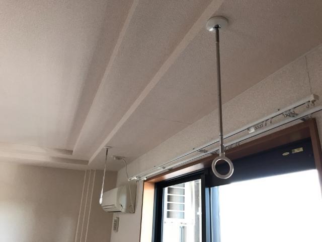 サンセベリア 部屋画像