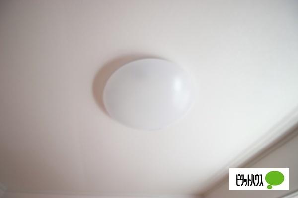 ソルレヴァンテＢ（102） その他