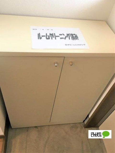 ベルメゾン（301） 玄関