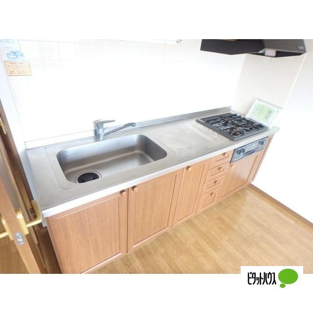 フォレストマンション（305） キッチン