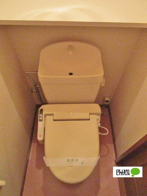 フォンテーヌマンション（B203） トイレ
