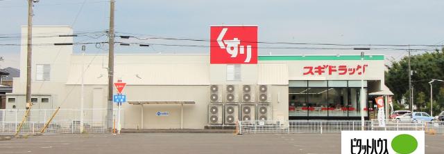 スギドラッグ伊勢崎店：1696m