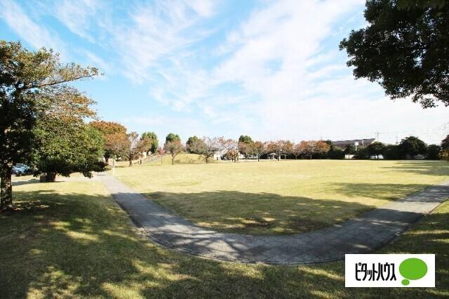 富塚公園：1253m