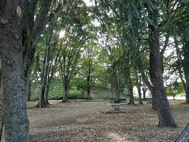 八幡山公園：3522m