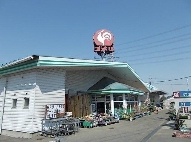 コメリ：290m