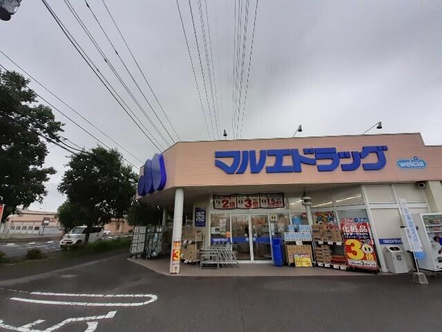 マルエドラッグ伊勢崎南千木店：550m