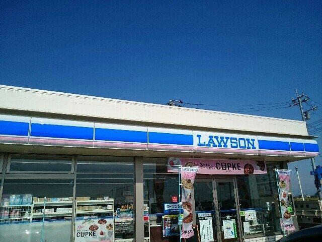 ローソン玉村飯塚店：1100m