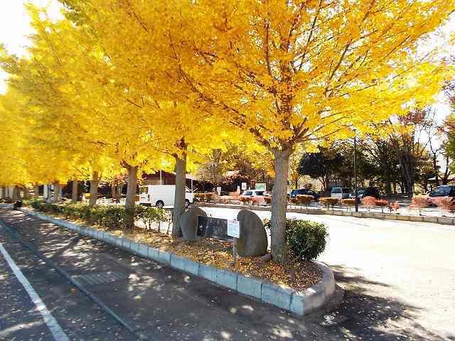 せせらぎ公園：1300m