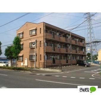 プレシャス（101） その他