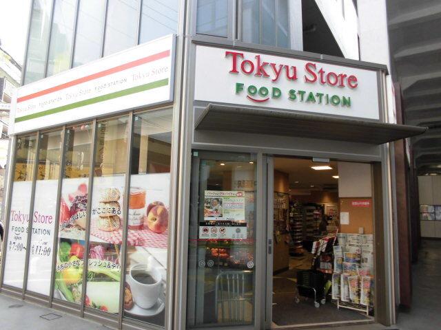 パークサイドリックス中延（1001） 周辺環境