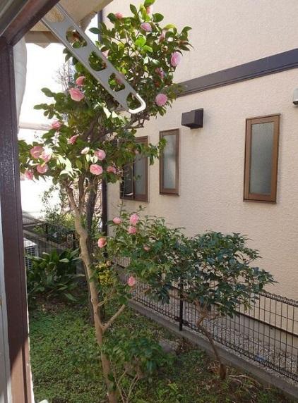 大田区山王アパート 庭