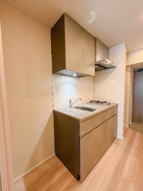 シーズンフラッツ大井町（301） 部屋画像