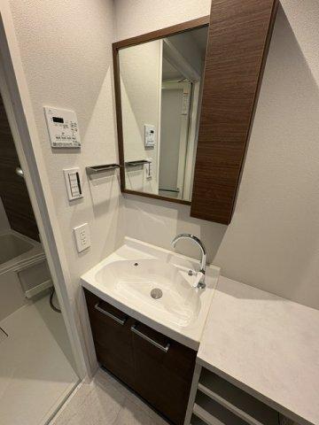 デュオメゾン品川戸越（501） 洗面
