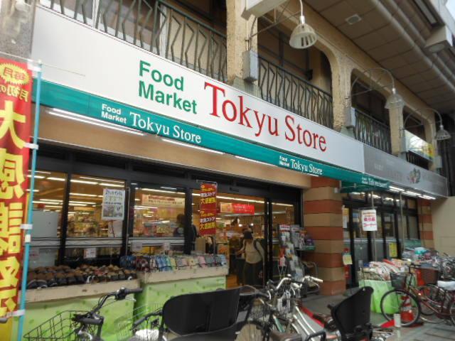 スタイリオフィット武蔵小山（102） 周辺環境