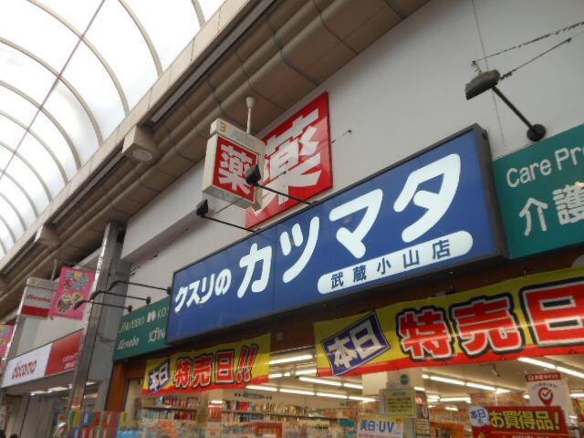 スタイリオフィット武蔵小山（102） 周辺環境