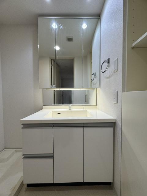 クリオ戸越銀座弐番館（901） 部屋画像