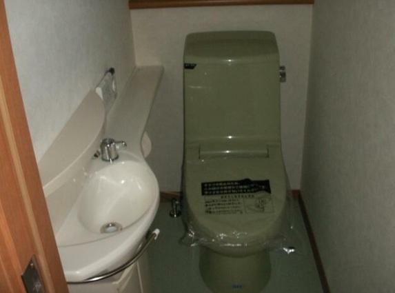 醍醐ハイツ（103） トイレ